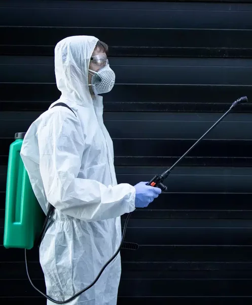 Actionam pe Bucuresti si ILFOV Dezinfectie Deratizare